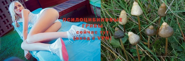 наркотики Алексин