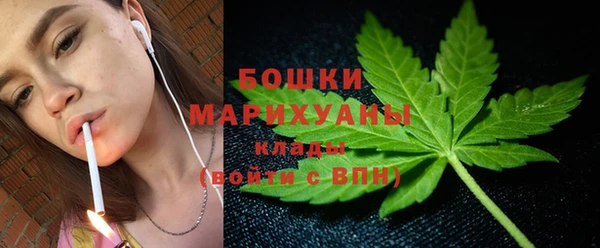 шишки Алексеевка