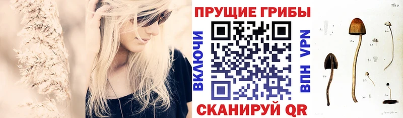 omg сайт  Сим  Псилоцибиновые грибы мухоморы 